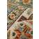 Langley Street Zoila Oriental Area Rug Gold, Green, Red 240x340cm