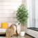 Ficus Green Artificial Plant