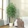 Ficus Green Artificial Plant