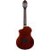 Ortega TourPlayer RTPDLX-ACA