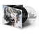 Crooked Teeth by Papa Roach - (CD)