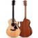 Taylor 314CE Studio Western-Guitar