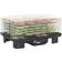 Homcom 6 Tray Food Dehydrator
