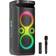 Fenton Fenton Pulse130 Party Speaker