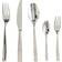 Zwilling Albany Bestickset 30st