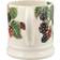 Emma Bridgewater Blackberry Half Pint Mugg 30cl