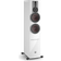 Dali Rubicon 6 C