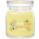 Yankee Candle Lemon Gelato Medium Doftljus