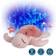 Cloud B Tranquil Turtle Rechargeable Pink Night Light