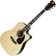 RockOn Clippex Acoustic guitar western model