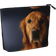 Jejea Golden Retriever1 Print Makeup Bag - Black