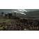Total War: Rome II (PC)