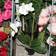 Mr Plant Orkidé Hvid 45 cm Kunstig plante