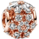 Pandora Sparkling Herbarium Cluster Round Charm - Rose Gold/Transparent