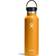 Hydro Flask Standard Mouth Flex Fossil Water Bottle 0.621L