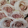 Rosely Soft Grace