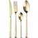 Magnor Pure Champagne Bestickset 24st