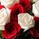 Rosely Timeless Love