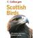 Scottish Birds (Häftad, 2006)