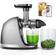Amzchef Cold Press Masticating Juicer