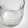IKEA Fröjda Dricksglas 30cl 4st
