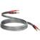 QED Reference XT40i Banana - Banana M-M 2m