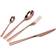 Modern House Black Rose Copper Bestickset 24st