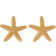 Shein 1pair Starfish Stud Earrings