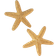 Shein 1pair Starfish Stud Earrings