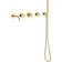 Damixa Silhouet BS 2 Kararmatur Poleret Messing PVD Poleret messing