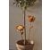 Star Trading Solcellsdekoration Oxida Blommor Dekoration 2st