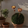 Star Trading Solcellsdekoration Oxida Blommor Dekoration 2st