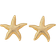Shein pair Minimalist Starfish Design Earrings Fashion SeaThemed Jewelry For Women