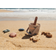 Liewood Gilma Beach Set 1032 Sea Creature