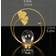 Shein EuropeanStyle Luxury Crystal Ball Metal Tortoise Leaves Ornaments Decorative Item