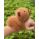 Shein A Cute Capybara Plush Toy With Clap Circle Creative Design Stuffed Doll Can Be Worn On Wrist Novelty Christmas And New Year Gift For Friends