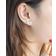 Shein Cubic Zirconia Bow Stud Earrings