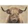 Dunelm Marvel Highland Cow Washable Doormat Beige 50x75cm