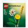 LEGO Botanicals Markblomster 30701