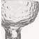 Kosta Boda Moss Coupe 35 cl Klar Champagneglas 35cl