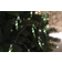 Sirius Lichterkette Weihnachtslichterkette Hannah Zuckerstange 1.30m Weihnachtsbaumbeleuchtung 8 Lampen