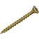 Optimaxx 40mm Torx Drive Wood Screws Box of 200 200pcs