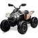 Joyspirit Can Am Renegade ATV