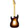 Fender Custom Shop 70th Anniversary 1954 Stratocaster NOS Elec
