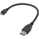 Nordic HDMI DisplayPort adapter, 4K/60Hz 0.2m