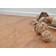 Korkgolv GRANORTE Naturtrend Element Rustic