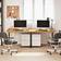 vidaXL Schreibtischplatte Hellbraun Massivholz Eiche 220 x 90 x 4 cm Tischplatte 4x220cm