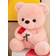 Shein 1pc Cute Stuffed Bear Toy With Rose For Valentine'S Day Gift Or Confession, Teddy Bear Doll In Simple Design