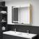 vidaXL LED Bathroom Mirror Cabinet Oak 80 x 12 x 68 cm