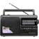 Panasonic RF-3500